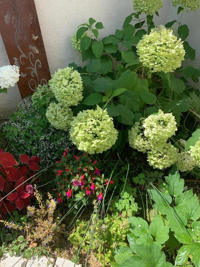 La Glycine B&B Sainte-Colombe  Eksteriør bilde