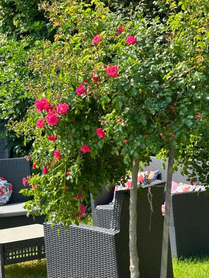La Glycine B&B Sainte-Colombe  Eksteriør bilde
